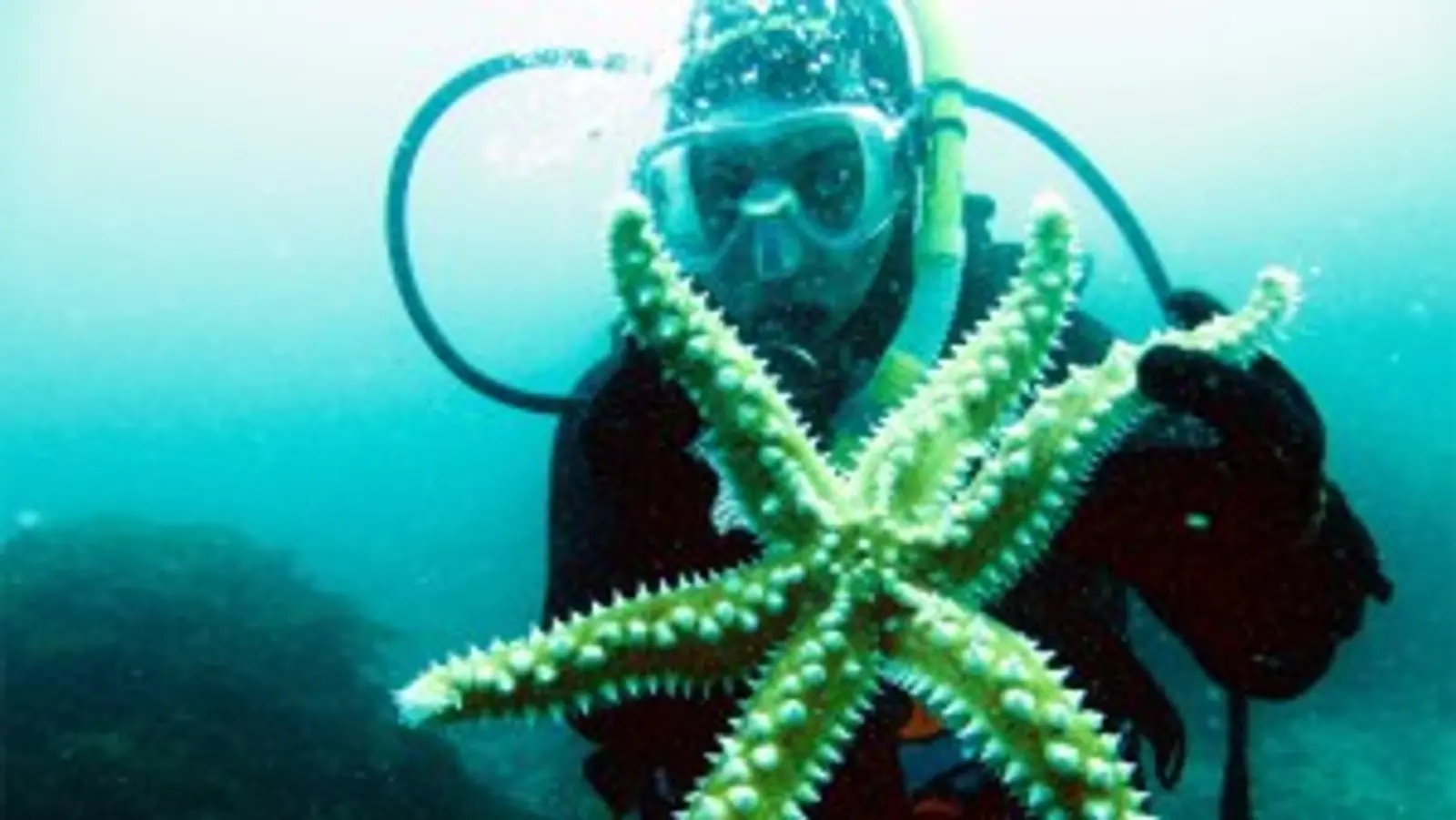 submarinismo chile