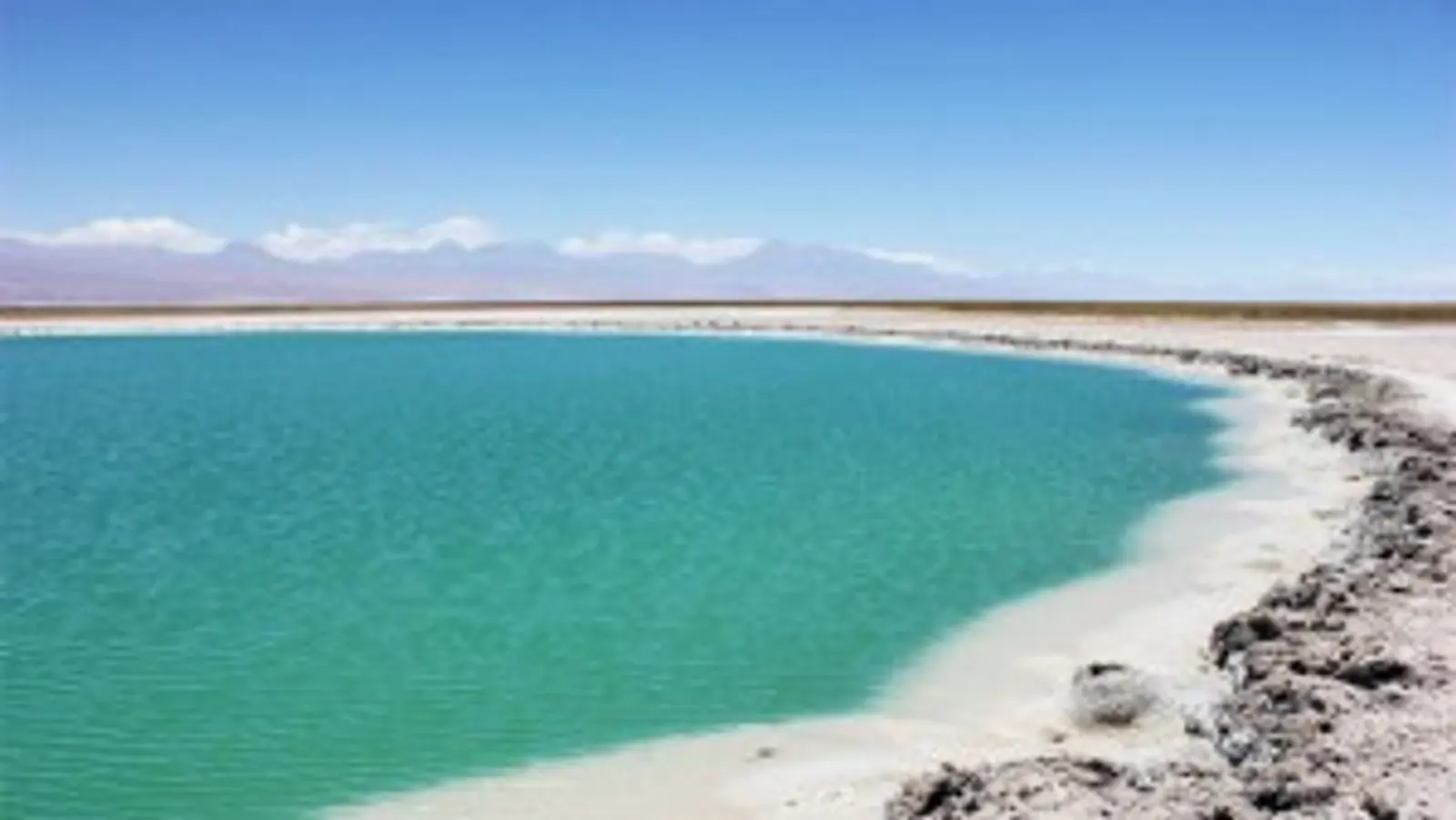laguna cejar