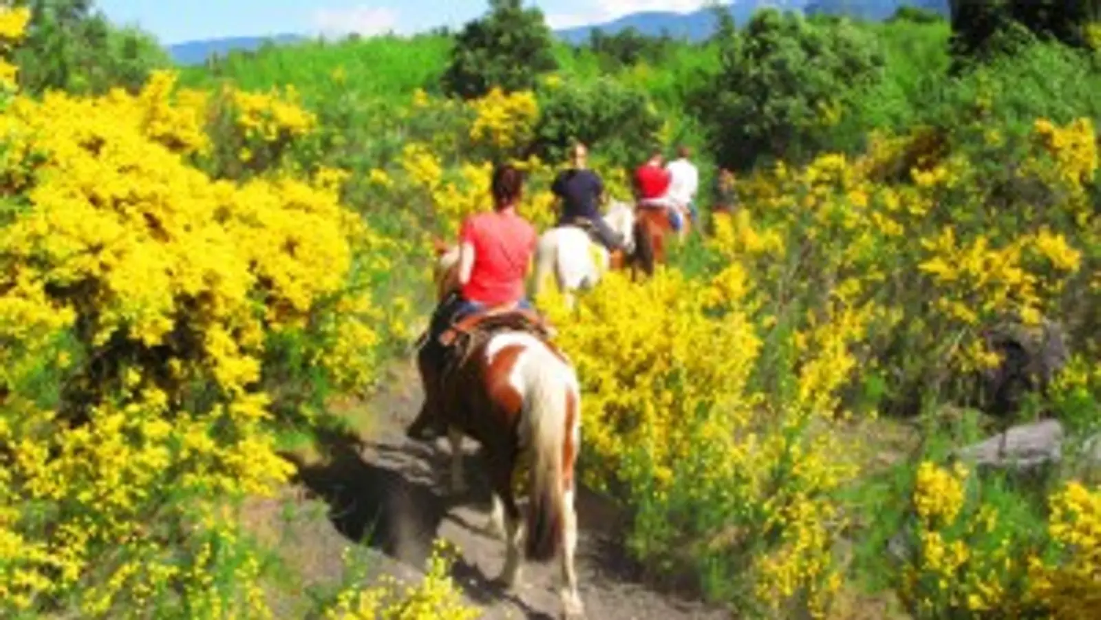 CABALGATA