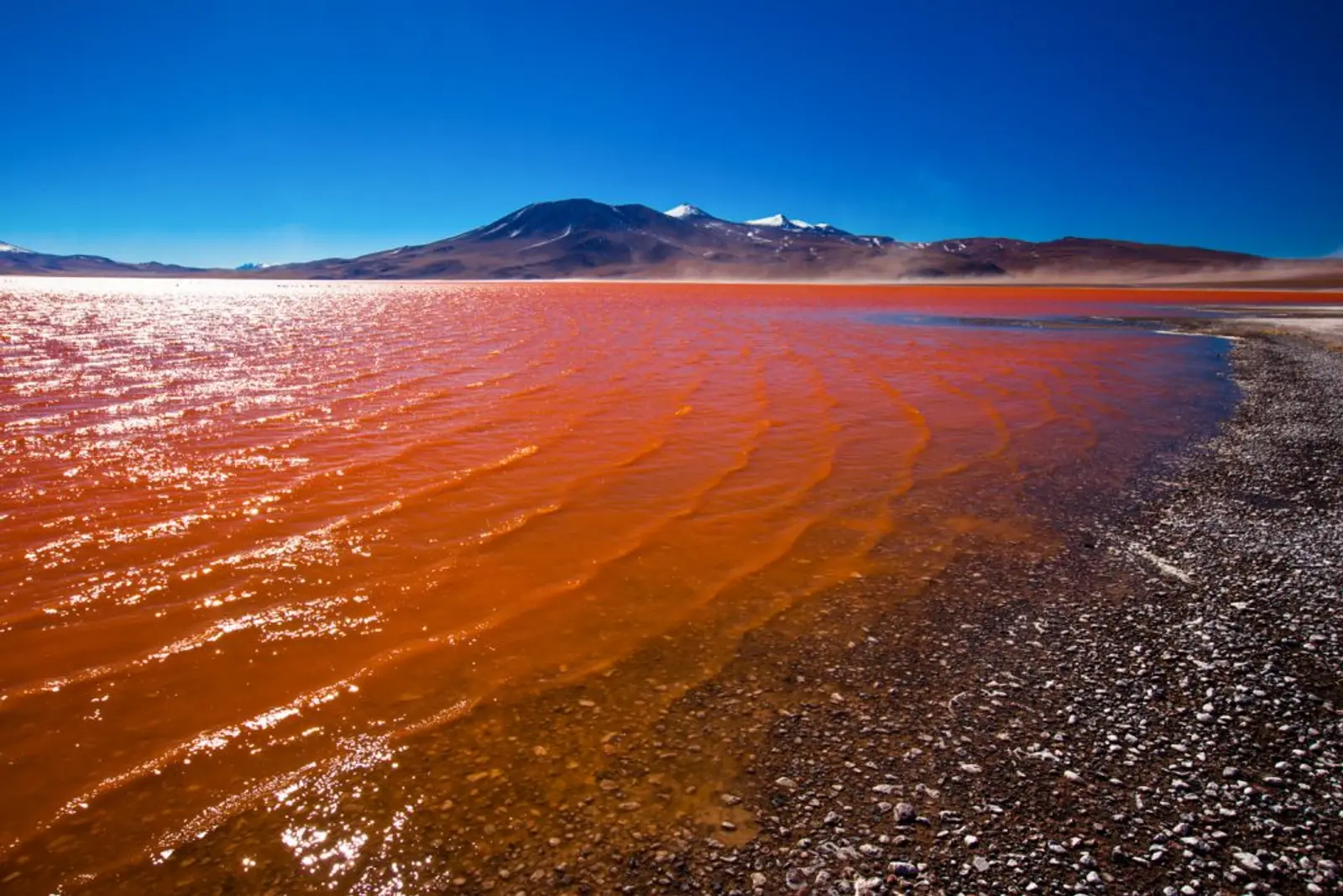25062013 Laguna Roja Sustituto