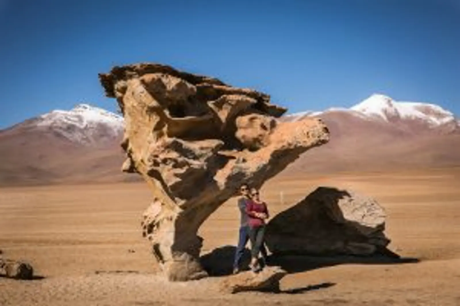 16022018 Arbol De Piedra Sustituto