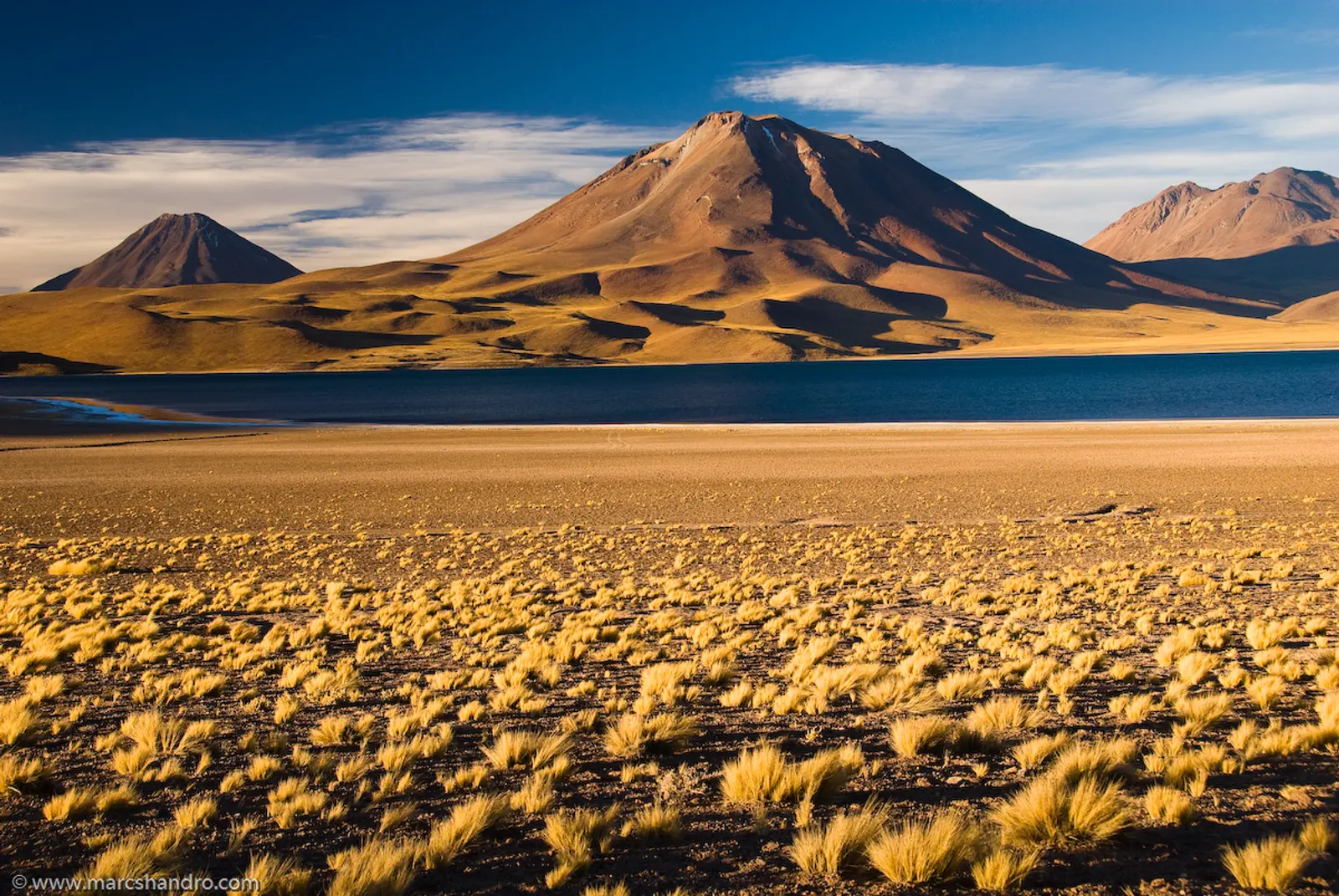 Volcan y Laguna Miscanti