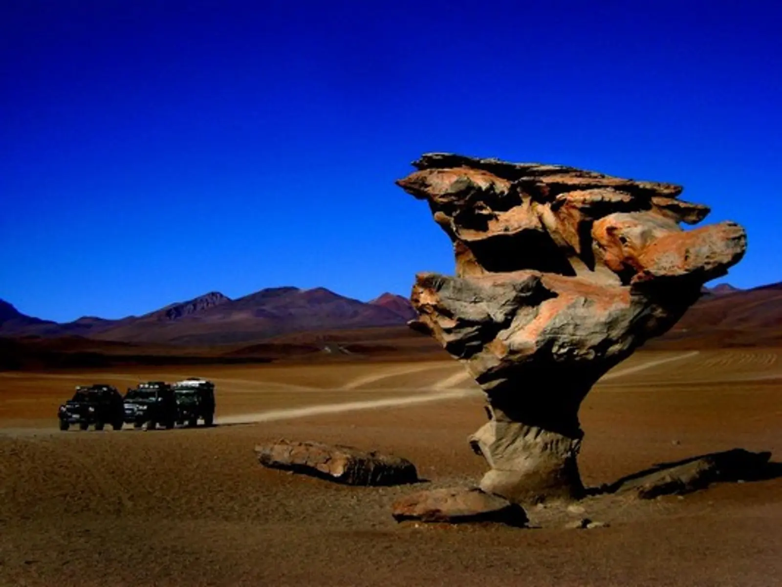 Roca con forma de árbol en el trayecto hacia el Salar de Uyuni