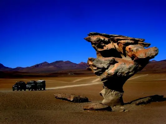 Roca con forma de árbol en el trayecto hacia el Salar de Uyuni