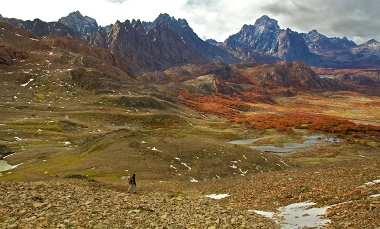 Dientes de Navarino Nomades