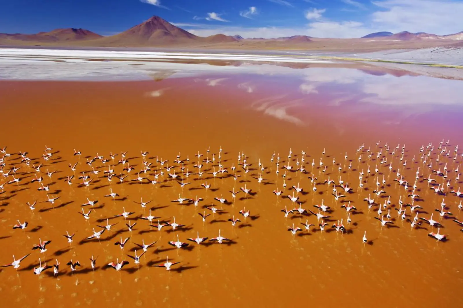 laguna-colorida-uyuni-atacama