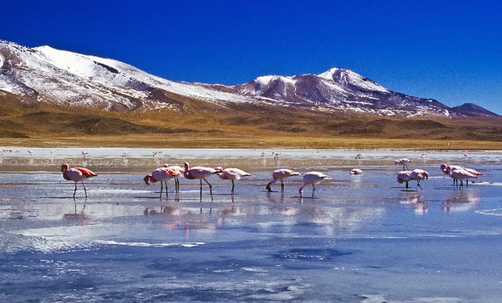 lagoa-hedionda-uyuni-atacama