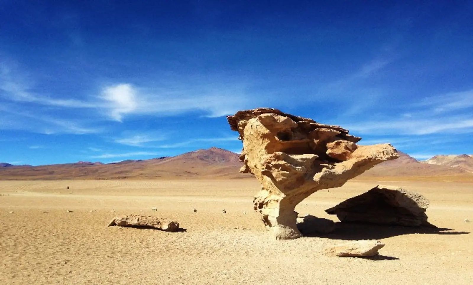 arvore-de-pedra-salar-de-uyuni