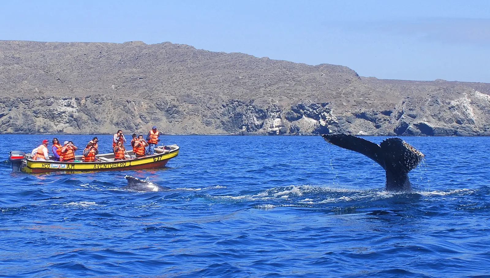 ballenas-y-barco-en-chanaral