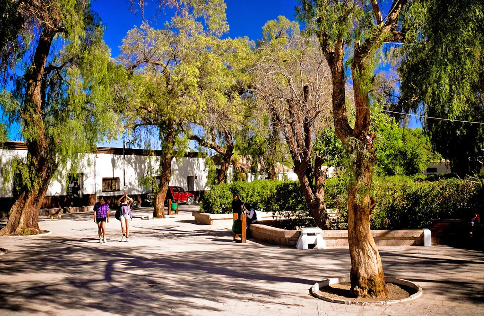 Praça com árvores