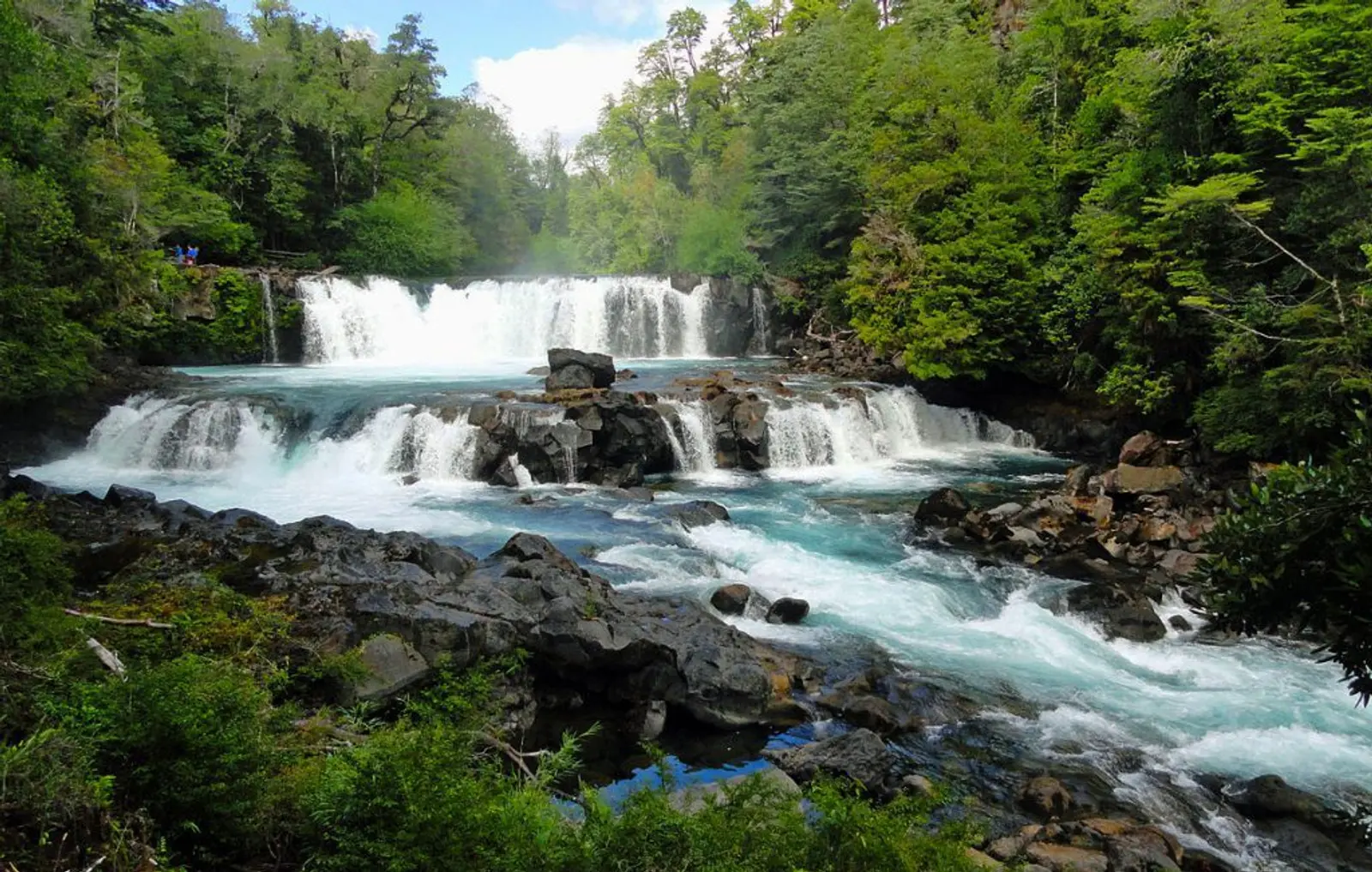 Salto de agua en bosque de huilo huilo