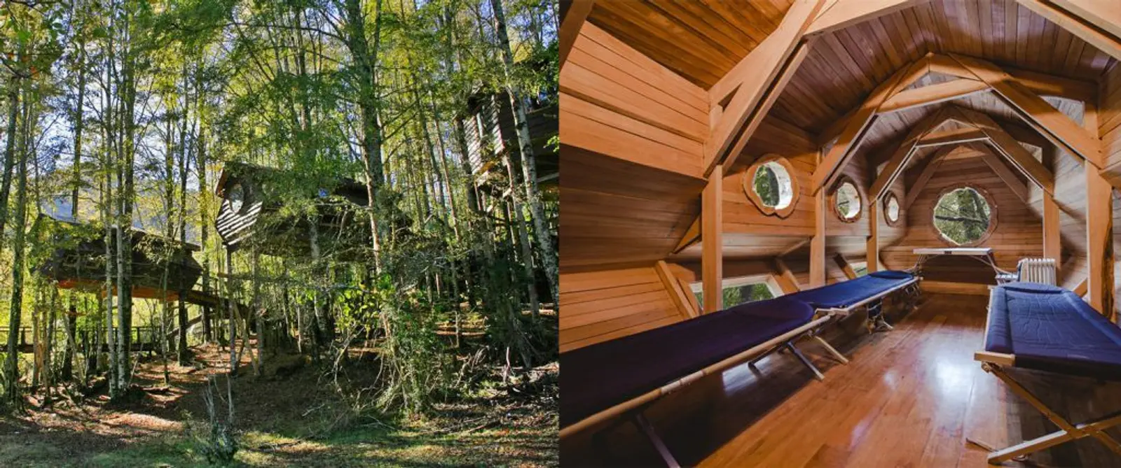 Alojamientos tipo cabañas en el bosque