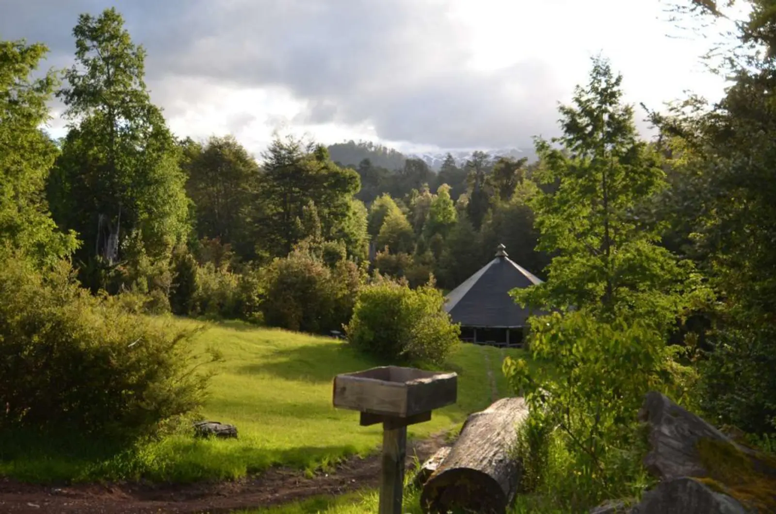 Sector de camping en bosque de huilo huilo