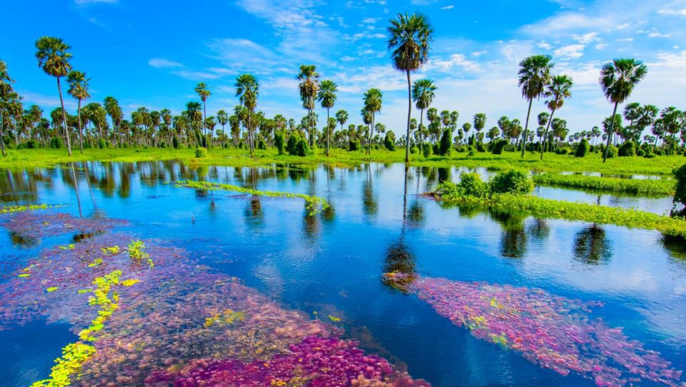 pantano en argentina
