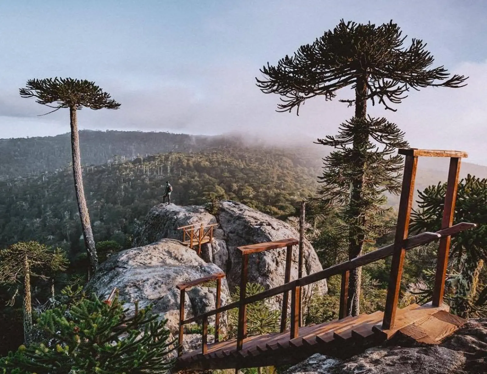 Viajero sobre roca observa bosque desde las alturas en Chile