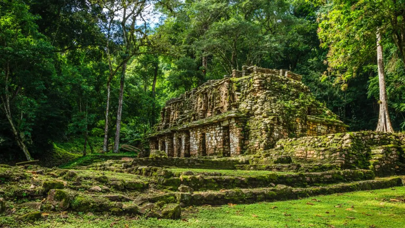 Restos arqueológicos en medio de la selva en méxico