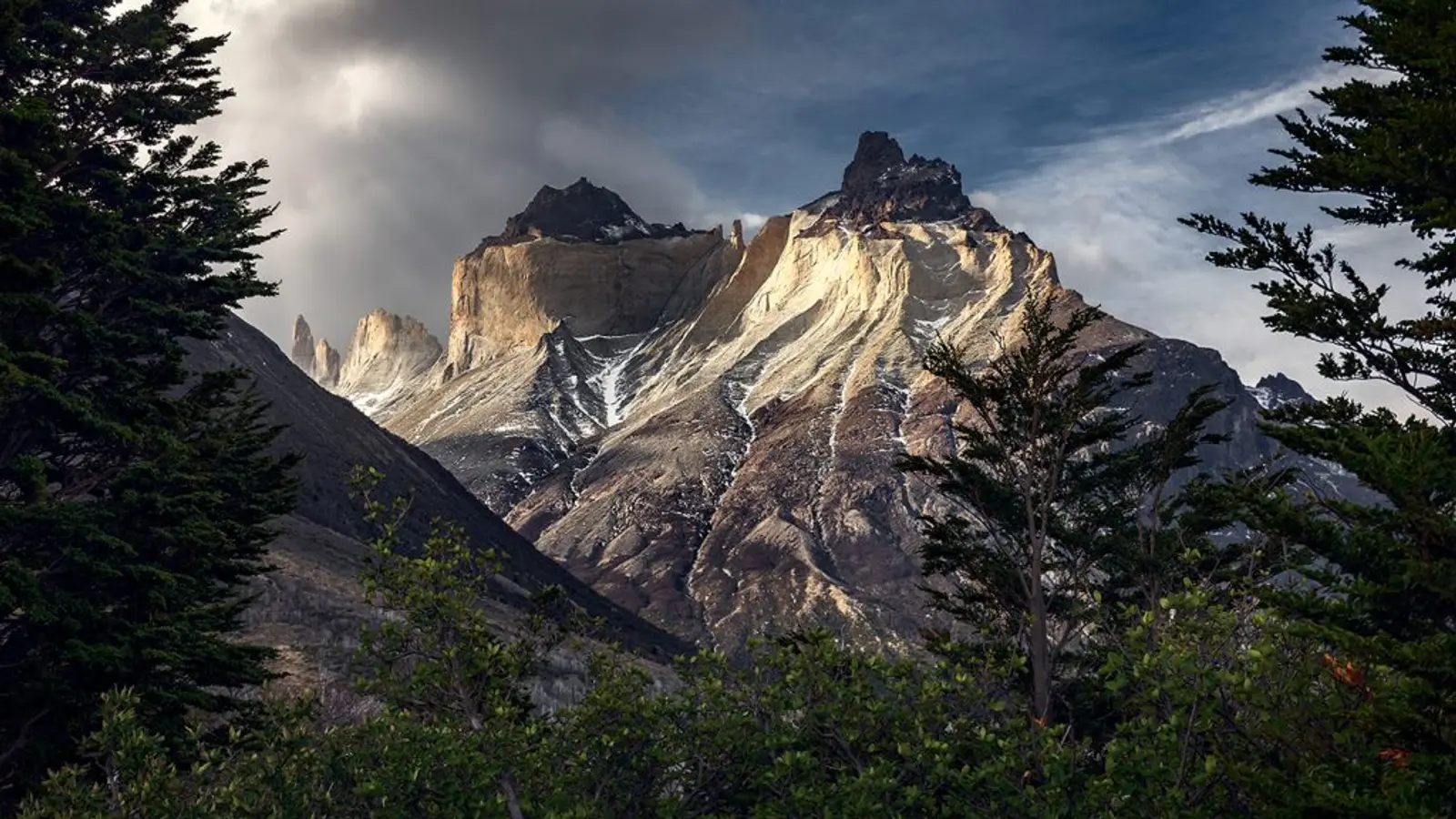 Montaña cuernos del paine en medio del bosque durante la tarde
