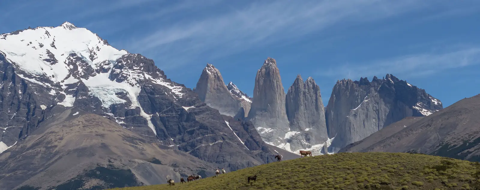 dia inteiro torres del paine