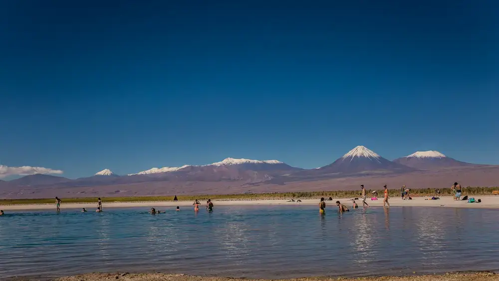 laguna cejar